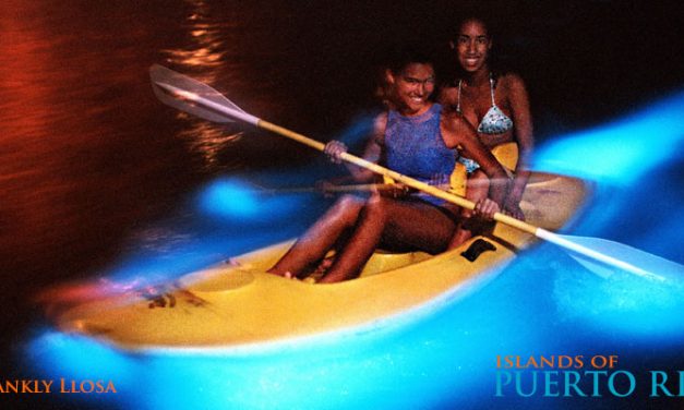 Mosquito Bay – The Brightest Bioluminescent Bay in Puerto Rico <h2>Visiting Guide & Tours</h3>