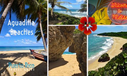 Best Beaches in Aguadilla, Puerto Rico <BR>2024 Beach Guide