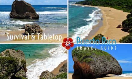Survival Beach & Tabletop – Aguadilla, Puerto Rico <BR>2024 Beach Guide