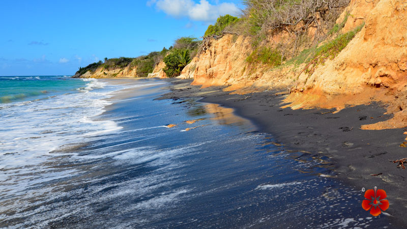 Black Sand Beach - Best beaches in Vieques, Puerto Rico
