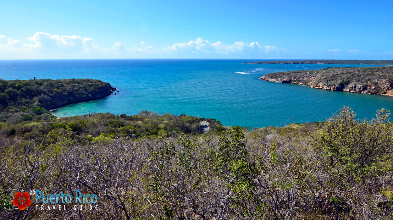 Bosque Estatal de Guanica (State Forest) - Places to Visit in Guanica Puerto Rico - West Region