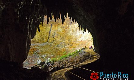 Parque Nacional de las Cavernas del Río Camuy <BR>“Camuy River Cave Park” – Camuy, Puerto Rico <BR><h3>2024 Visitor’s Guide</h3>
