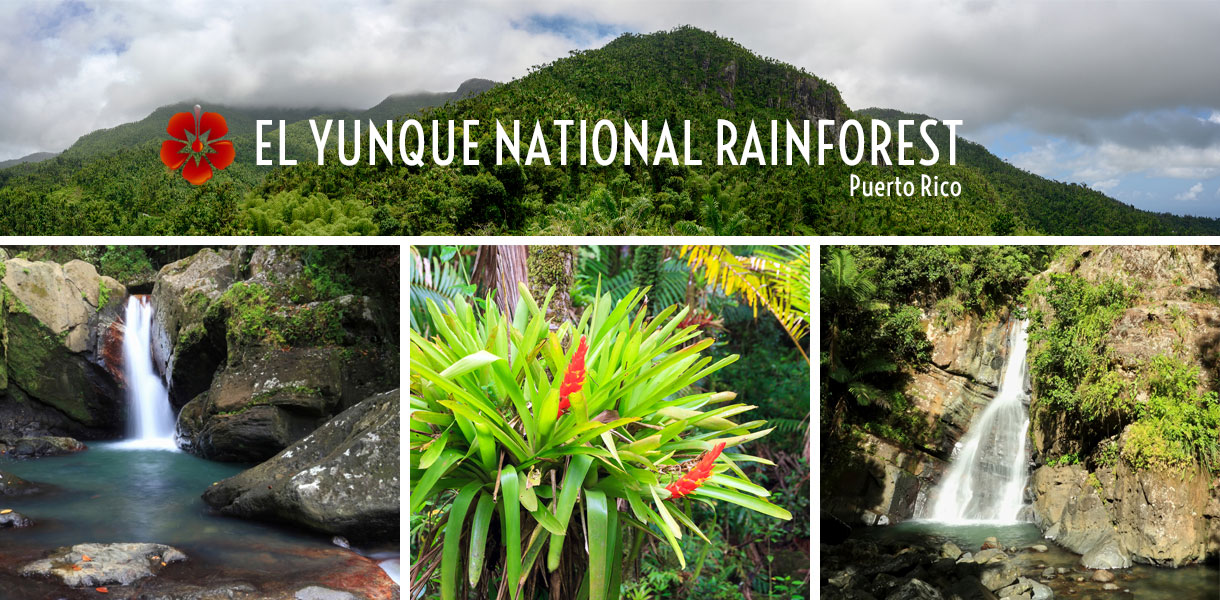 El Yunque National Rainforest - Rio Grande, Puerto Rico