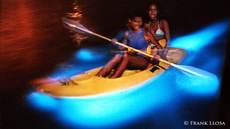 Laguna Grande Bioluminescent Bay - Best things to do in Fajardo, Puerto Rico