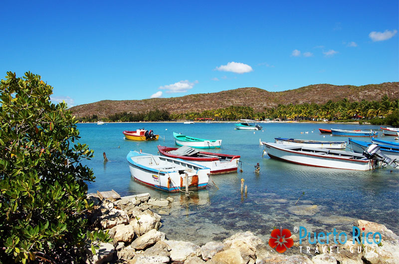 Colorful boats in Guanica near the ferry boat for Gilligan's Island - Puerto Rico