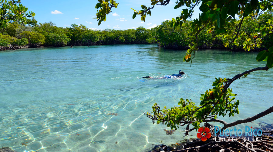 Best places to stay in Guanica, Puerto Rico