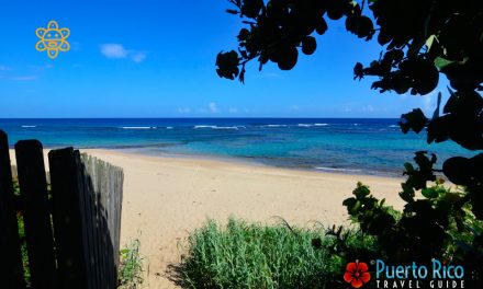 Playa Shacks – Isabela, Puerto Rico  <BR>2024 Beach Guide