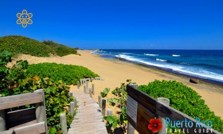 Playa Middles – Isabela, Puerto Rico <BR>2024 Beach Guide