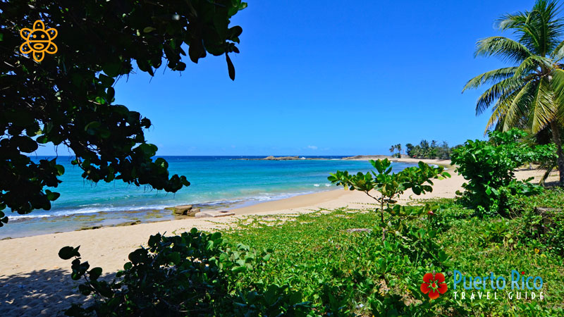 Sardinera Beach - Places to Visit & Things to Do in Isabela, Puerto Rico