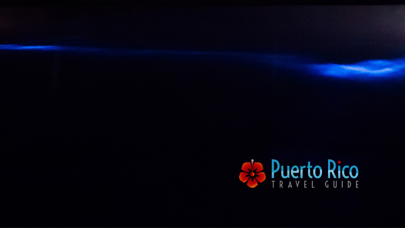 Bioluminescent Bay in Lajas, Puerto Rico - La Parguera