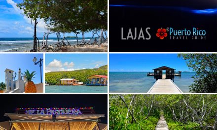 Lajas, Puerto Rico Tours <BR><h3>Top Rated Tours – Bioluminescent Bay, Snorkeling, Offshore Keys and more</h3>