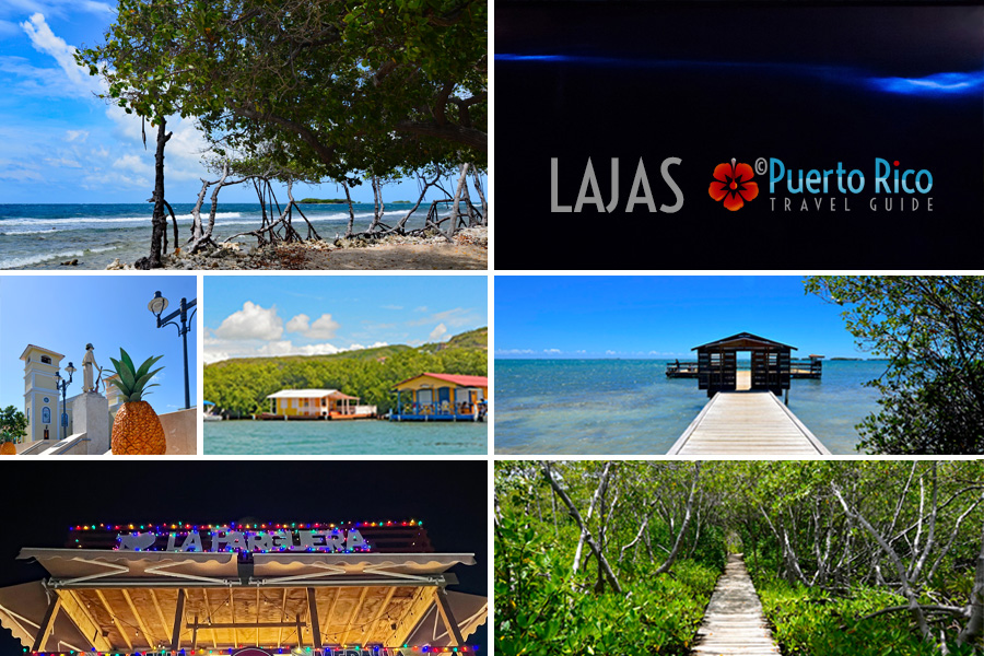 Lajas Puerto Rico Tours