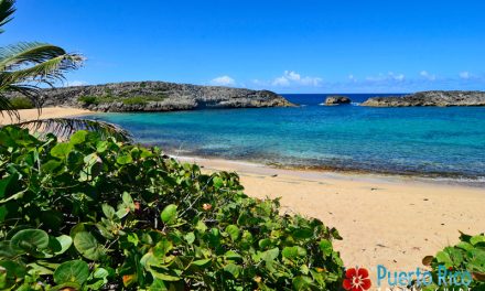 Playa Mar Chiquita – Manati, Puerto Rico <BR>2024 Beach Guide