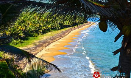 Playa Punta Tuna & Nature Reserve <BR>Maunabo, Puerto Rico – 2024 Beach Guide