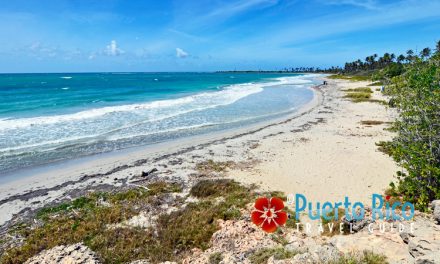 Playa Ballena “Bahia de las Ballenas” <BR>Guanica, Puerto Rico – 2024 Beach Guide