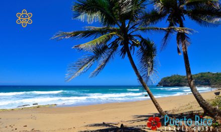 Playa Guajataca – Isabela / Quebradillas, Puerto Rico <BR> 2024 Beach Guide