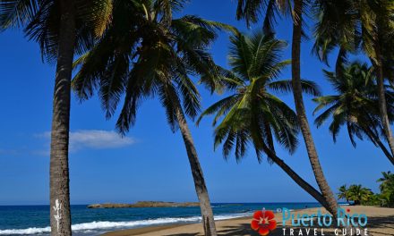 Playa Peñon Brusi – Camuy, Puerto Rico <BR>2024 Beach Guide