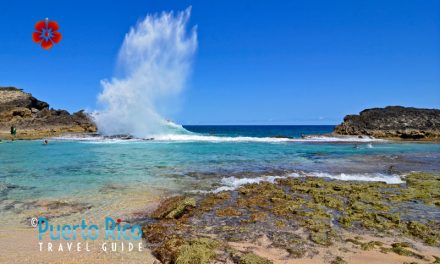 Playa Poza del Obispo – Arecibo, Puerto Rico <BR>2024 Beach Guide