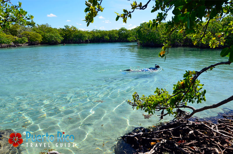 Gilligan's Island - one of the best snorkeling beaches in Puerto Rico