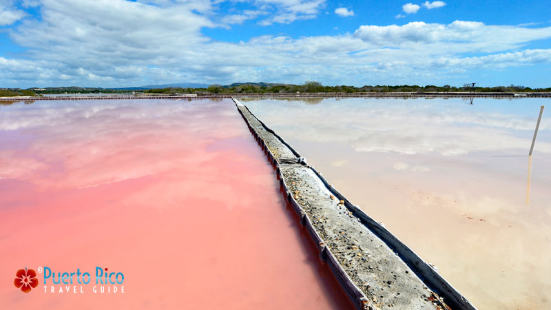 Las Salinas / Salt Flats - Best attractions / things to do in Puerto Rico