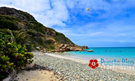 Playa Pelicano – Caja de Muertos, Ponce, Puerto Rico <BR>2024 Beach Guide