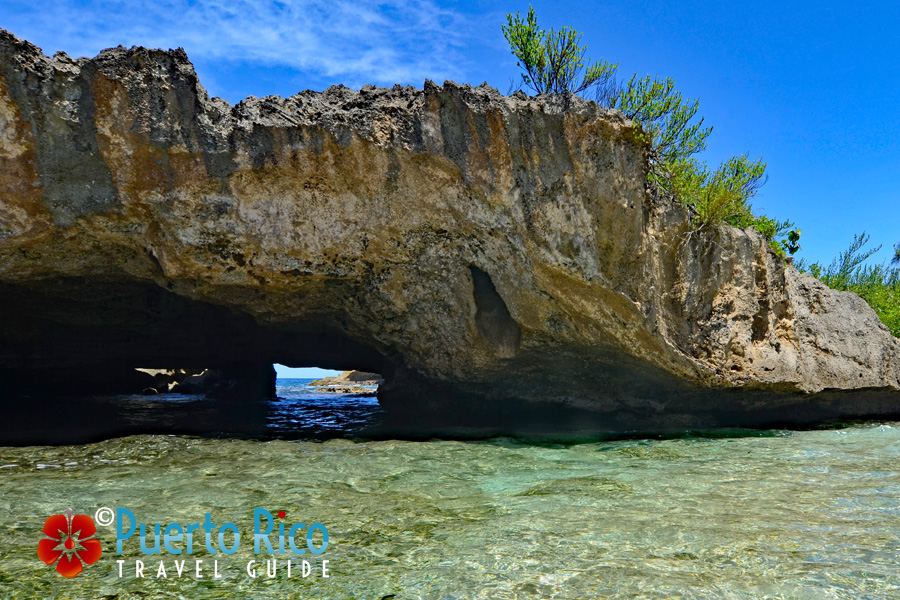 Puerto Rico Beach Caves - Cueva de Las Golondrinas in Manati
