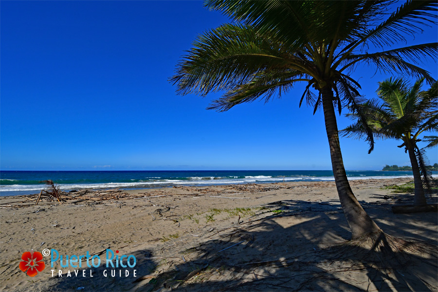 Playa Hatillo / Rio Mar Beach - Hatillo - Puerto Rico's Best Beach Combing Beaches - Driftwood 