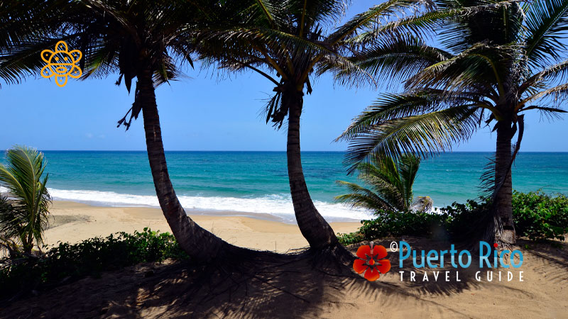 Puerto Rico Beaches - Perfect solemn spot under palm trees