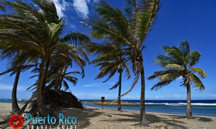 Playa Sardinera – Hatillo, Puerto Rico <BR>2024 Beach Guide