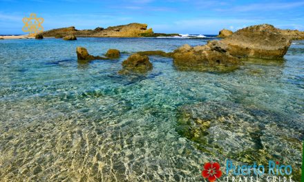 Poza Las Golondrinas – Isabela, Puerto Rico <BR>2024 Beach Guide