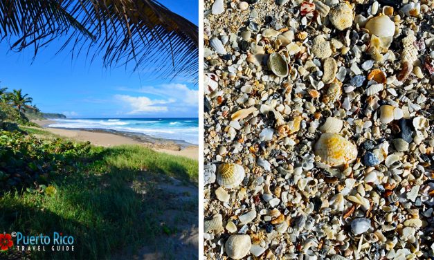Puerto Rico Best Beaches for Beachcombing <BR>Seaglass, Seashells, Pebbles & Driftwood