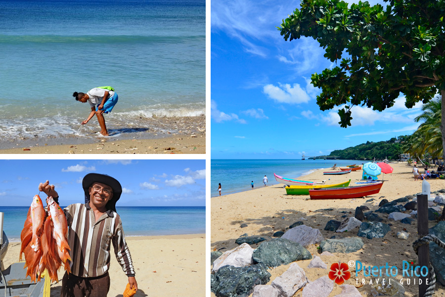 Puerto Rico Best Beachcombing Beaches - Playa Rompeolas in Aguadilla