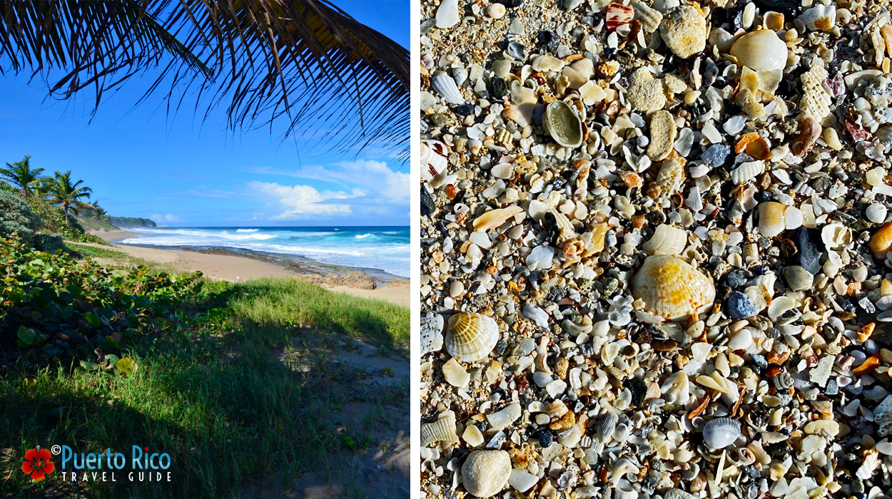 Best Beachcombing Beaches in Puerto Rico