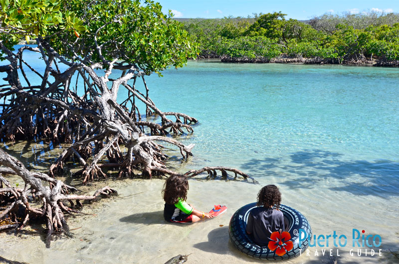 Gillgans's Island - One of the best beaches for families with kids in Puerto Rico
