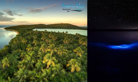 Puerto Rico Bioluminescent Bay Experiences <BR><h2>Mosquito Bay, Laguna Grande & La Parguera</h2>  <h3>Guide to Choosing the Best Experience for YOU</h3>