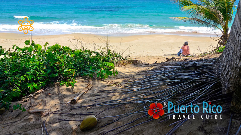 Beautiful beach in the Caribbean Island of Puerto Rico