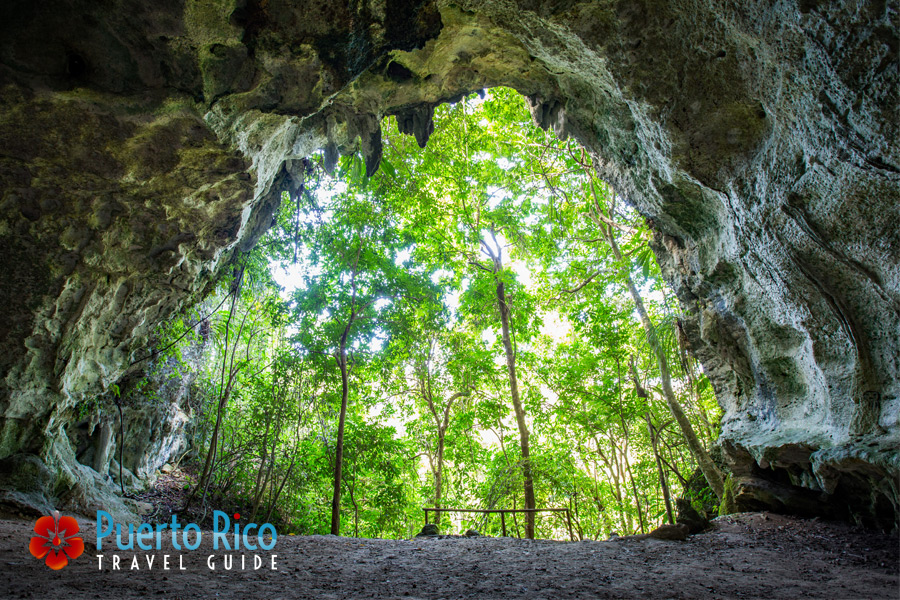 Cueva Ventana - Best caves in Puerto Rico to visit