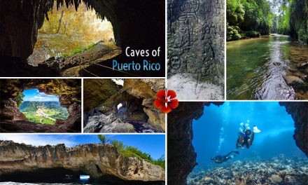 Best Caves to Explore in Puerto Rico – 2024 Guide