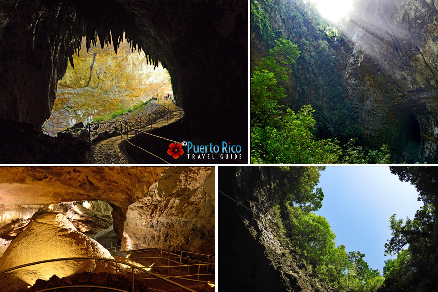Puerto Rico Caves - Best Places to Visit -Camuy River Cave Park - Cavernas de Camuyj