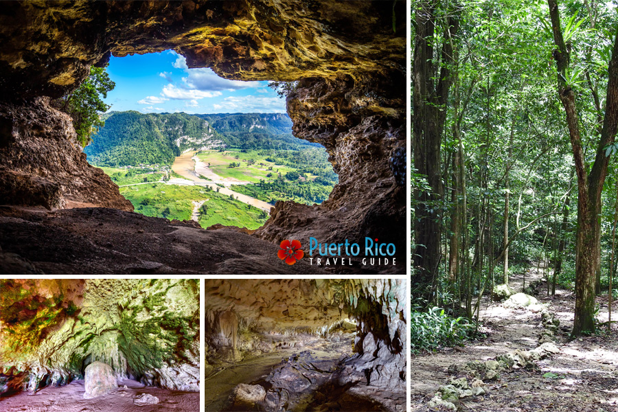 Puerto Rico Caving - Cave Tours - Cueva Ventana