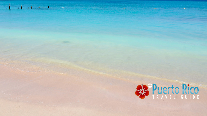 Pelicano Beach - Colors of Puerto Rico