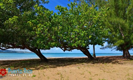Best Beaches on the East Coast of Puerto Rico <h3>2024 Guide to Best Beaches, Itineraries, Visiting Tips, & Fun Tours</h3>