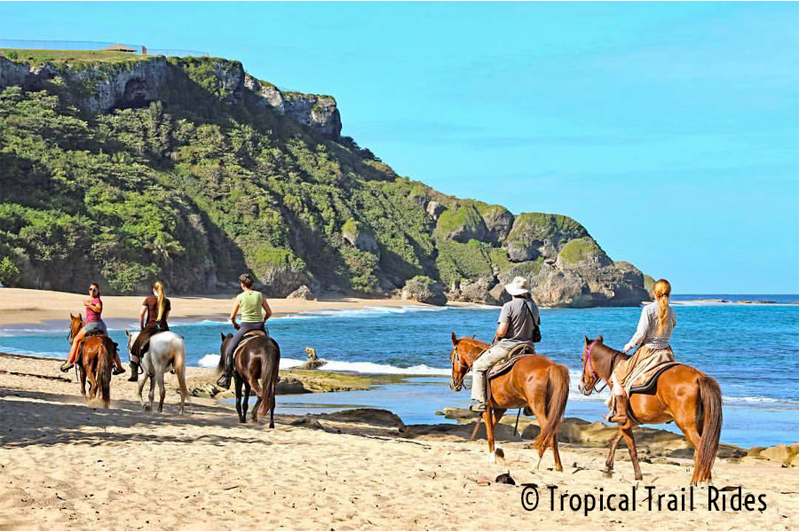 Puerto Rico Horseback Riding Tours