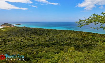 Isla Caja de Muertos, Puerto Rico <BR>2024 Island Guide – Best Things to Do, Top Rated Tours