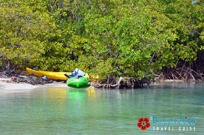 Kayaking is a favorite activity at Gilligan's Island, Guanica, Puerto Rico