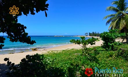 Playa Sardinera, Isabela, Puerto Rico <BR>2024 Beach Guide