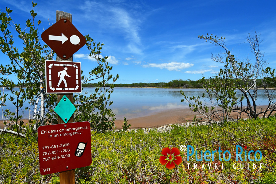Best places to go hiking in Puerto Rico - Las Salinas - Cabo Rojo
