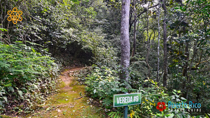 Guajataca Forest - Places to Visit in Isabela, Puerto Rico