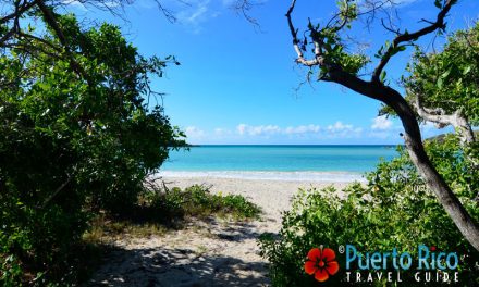 La Playuela “Playa Sucia” – Cabo Rojo, Puerto Rico <BR>2024 Beach Guide
