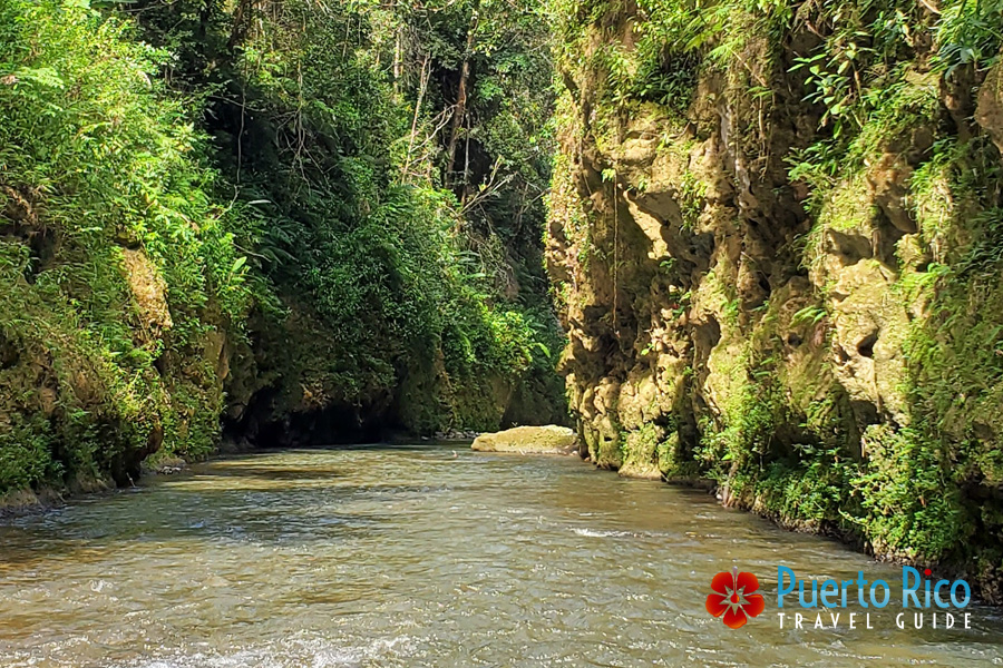 Puerto Rico River Cave Tubbing - Tanama River - Utuado
